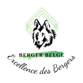 Canil Excellence des Bergers - Berger Belge